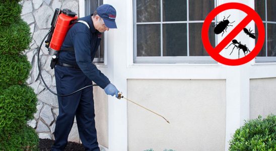 Ulubey Hamam Böceği İlaçlama böcek ilaçlama ve haşere kontrolü — ilaclama-tr.com